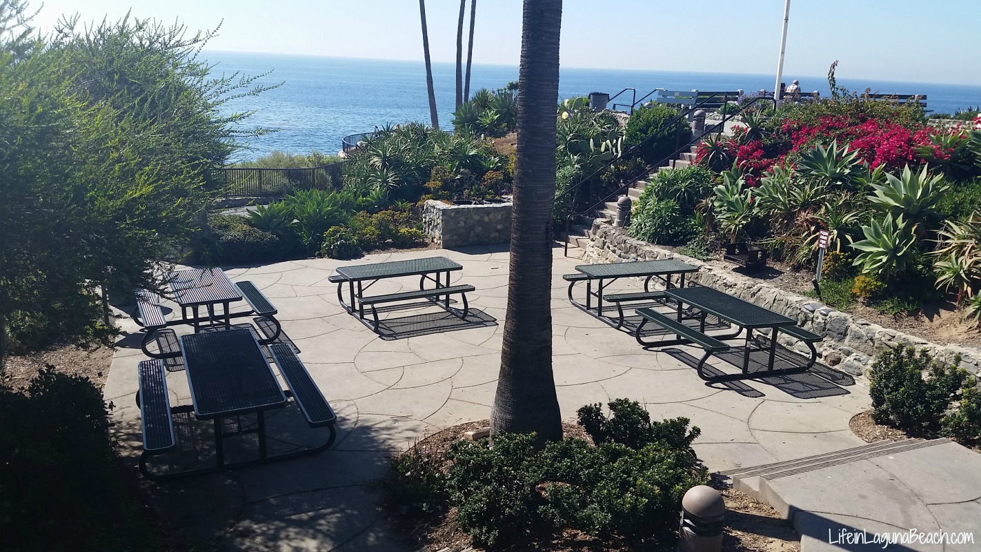 Life in Laguna Beach - Heisler Park